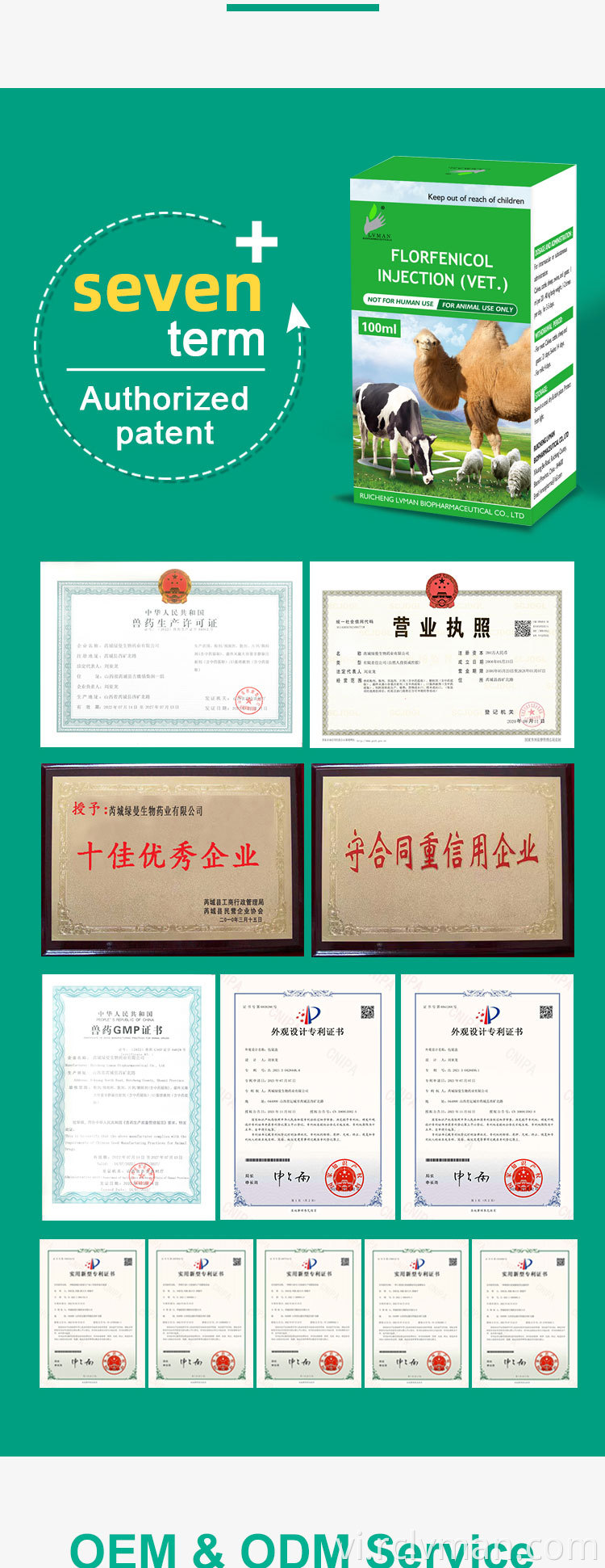 Florfenicol Injection 04